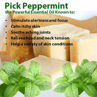 Muestra - Crema de Sebo Peppermint Stick, 1/4 fl. oz. (7 ml)