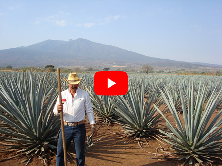 Vídeo: Cuidado Ancestral de la Piel