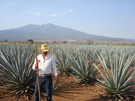 Blue agave farmer in Tequila, Mexico. Photo by Vintage Tradition