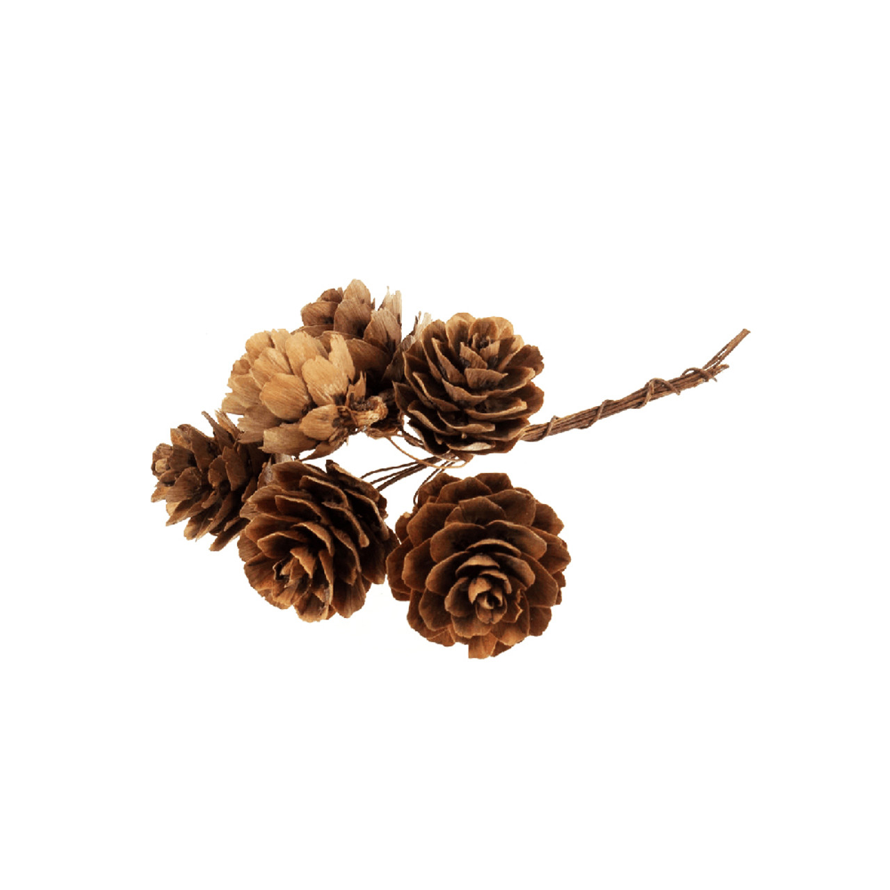 Large Pine Cone Picks (2 inch) - Three Pine Cones on A Pick - Set of 12 - Bendable Pick, Brown