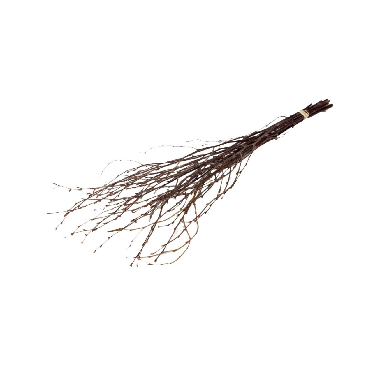 Dried Birch Twig Bunch / Christmas Dried Flower Decorations / DRIED flowers  UK – DRIED Limited