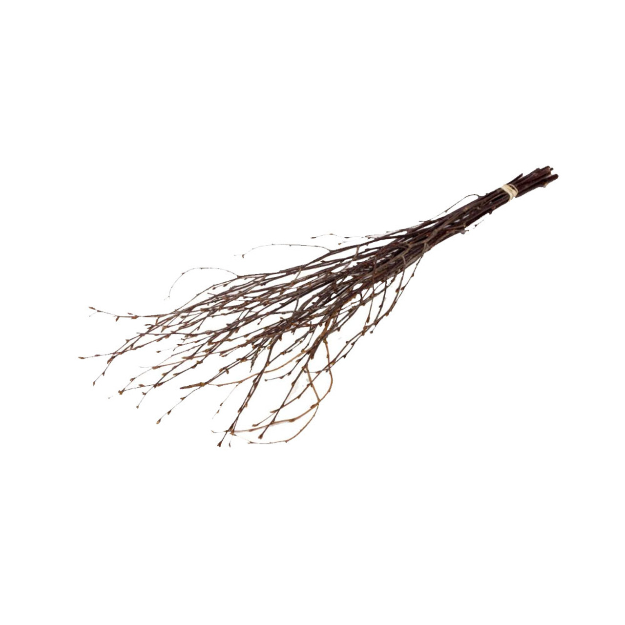 Dried Birch Twigs, DRIED Limited