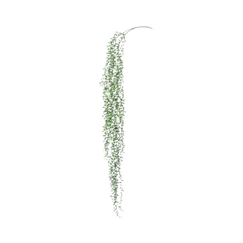 Trailing Senecio String of Pearls Artificial Succulent