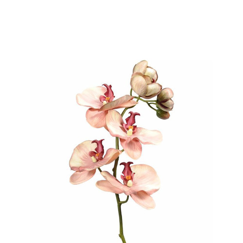 Faux Silk Orchid Vintage Peach 81cm/32 Inches