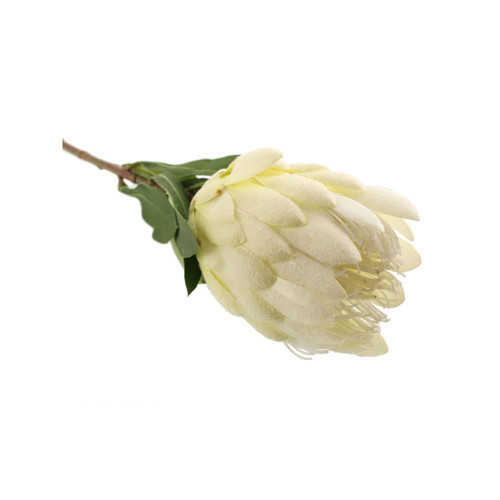 Large Artificial Protea Flower Stem White