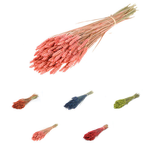 Dried Birch Twig Bunch / Christmas Dried Flower Decorations / DRIED flowers  UK – DRIED Limited