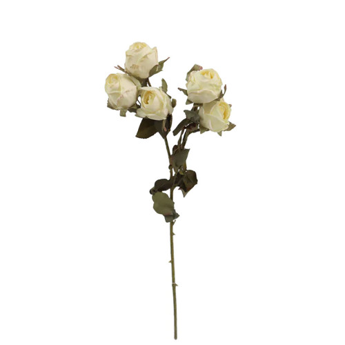 Dry Look Faux Silk Rustic Rose Ivory