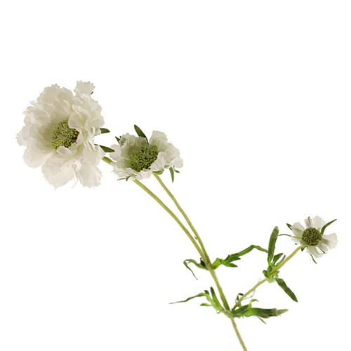 White Faux Silk Scabiosa or Scabious Flower Stem