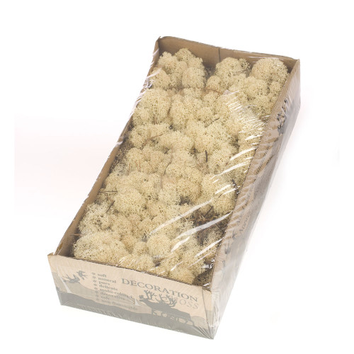 500g Box Of Dried Preserved Natural Norwegian Reindeer Moss White