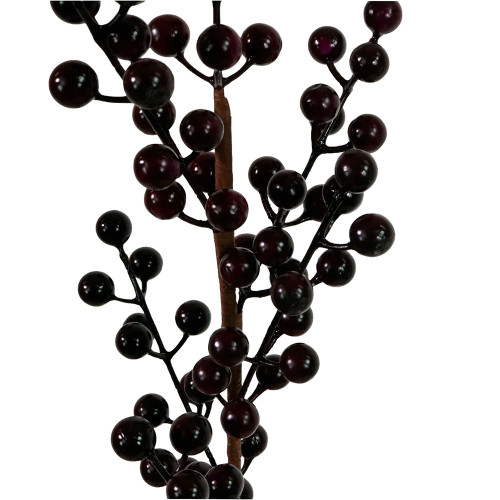 Seasonal Round Berry Stems Grape