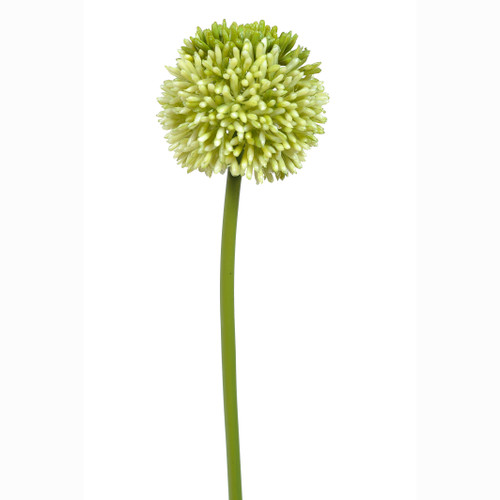 Allium Artificial Single Flower Stem Green 55cm