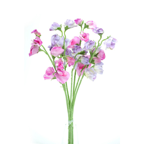 Sweetpea Stems Pink Lilac 40cm
