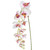 Orchid Phalaenopsis Artificial Silk Trailing 130cm White Pink