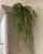 Artificial Succulent Trailing Fern on kitchen wall cupboard