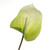 Artificial Anthurium Green