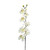 Artificial Silk Phalaenopsis Orchid Stem Cream