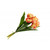 Faux Silk Tulip 6 Stem Bunch Peach