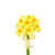 aux Silk Yellow Orange Mini Daffodil 7 Stem Bundle