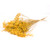 Dyed Bunch of Dried Broom Bloom Yellow