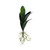 Artificial Orchid Leaf And Trailing Root Bundle