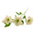 Faux Silk Helleborus Flower Stem Ivory