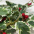 Artificial Variegated Holly Garland detail
