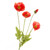 Bundle of 3 Faux Silk Poppy Sprays 58cm Red