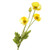 Faux Silk Poppy Sprays yellow