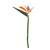 Artificial Bird of Paradise or Strelitzia Flower Stem