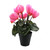Faux Silk Pink Cyclamen Bush in Pot