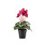 Faux Silk Artificial Dutch Cyclamen Flower Bush Hot Pink