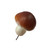 Artificial Mushroom Pick