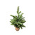 Artificial Green Mini Pine Tree 54 cm