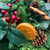 Artificial Orange, Cinnamon Stick, Berry, Foliage and Natural Cone Pine Wreath detail