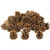1kg Bag Austriaca Pine Cones 5-8cm Approximately 50 Cones