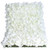 Flower Wall Panel 40cm x 60cm Cream Hydrangea