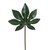 Single Aralia Leaves x4