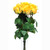 Rose Bunch Yellow 9 Individual Stems 42cm