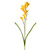 Freesia Spray Yellow 6 Stems 69cm/27 Inches