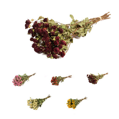 Dried Bunch Natural Spray of Roses 50cm/20 Inches Various Colours