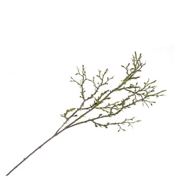 Dried Bunch Natural Birch Branches 60cm/24 Inches