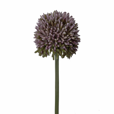 Acheter Des Allium Artificiel HELLA, Scintillant, Champagne, 75cm, 11cm