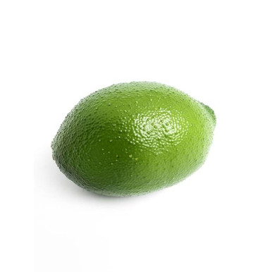 『lemon』 Lemon Squeezer, Fish – Gohar World