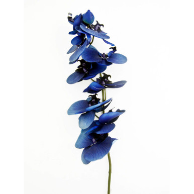 Bloom Artificial Black Double Phalaenopsis Orchid Flower In Vase Faux Fake Realistic Floral Home Decoration H60cm X W30cm