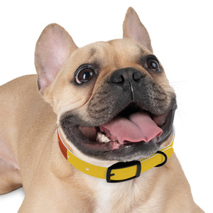 Title: Fode Golden Zone Dog Collar | Classic Style Golden Zone | Fodeliah