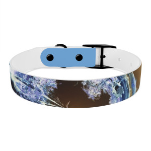 Title: Classic Style C-Portal Dog Collar | Fodeliah