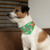 Title: Classic Style Fode Spiral Maze Pet Bandana Collar | Fodeliah