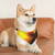 Title: Fode Golden Zone Pet Bandana Collar | Classic Style Bandana Collar  | Fodeliah