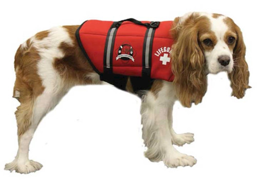 PAWS ABOARD DOG LIFE JACKET, LIFEGUARD RED, SMALL|R1300