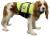PAWS ABOARD DOG LIFE JACKET, NEON YELLOW, SMALL|1300